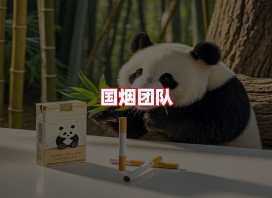 国烟团队